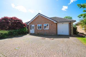 Photo 9- click for photo gallery